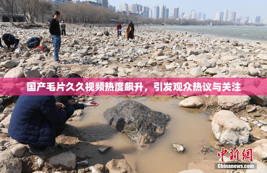 国产毛片久久视频热度飙升，引发观众热议与关注