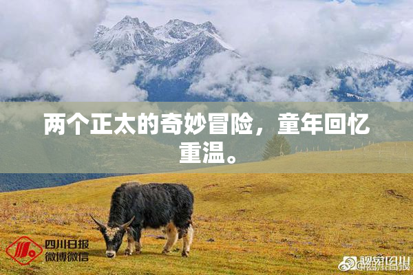 两个正太的奇妙冒险，童年回忆重温。