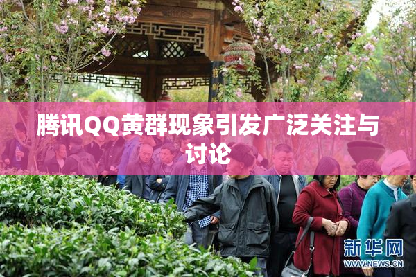 腾讯QQ黄群现象引发广泛关注与讨论