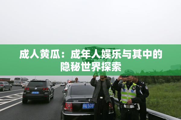 成人黄瓜：成年人娱乐与其中的隐秘世界探索