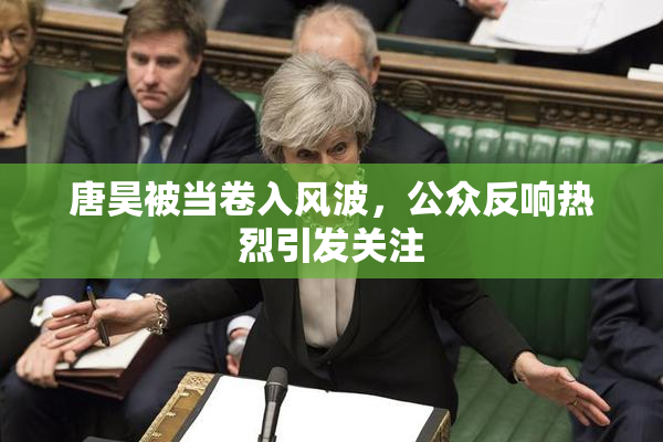 唐昊被当卷入风波，公众反响热烈引发关注