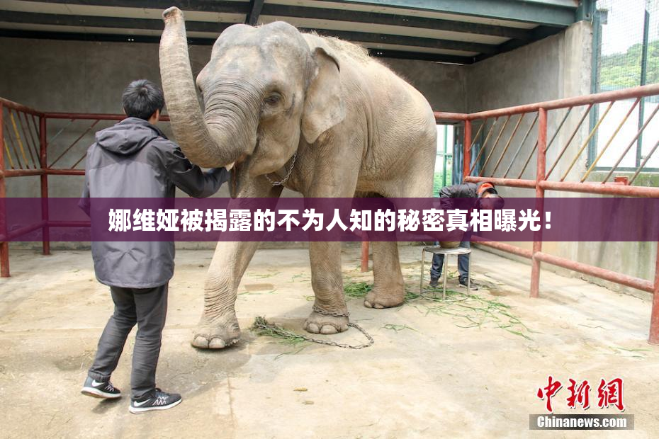 娜维娅被揭露的不为人知的秘密真相曝光！