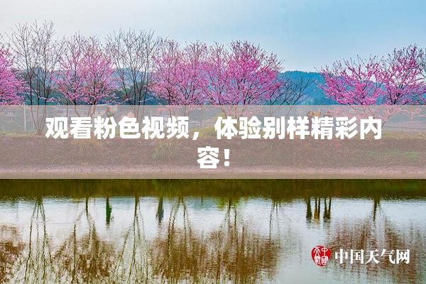 观看粉色视频，体验别样精彩内容！