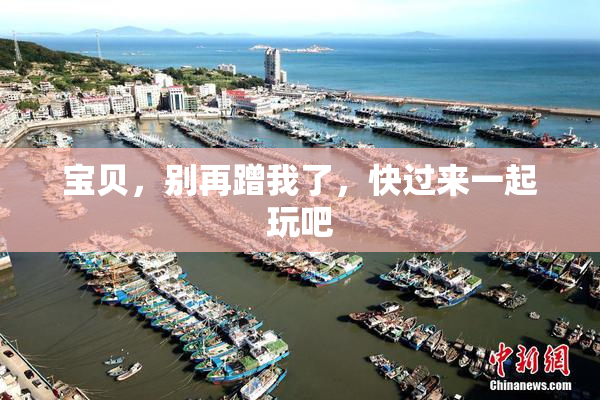 宝贝，别再蹭我了，快过来一起玩吧