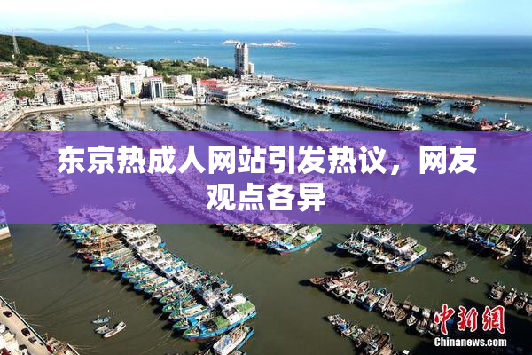东京热成人网站引发热议，网友观点各异