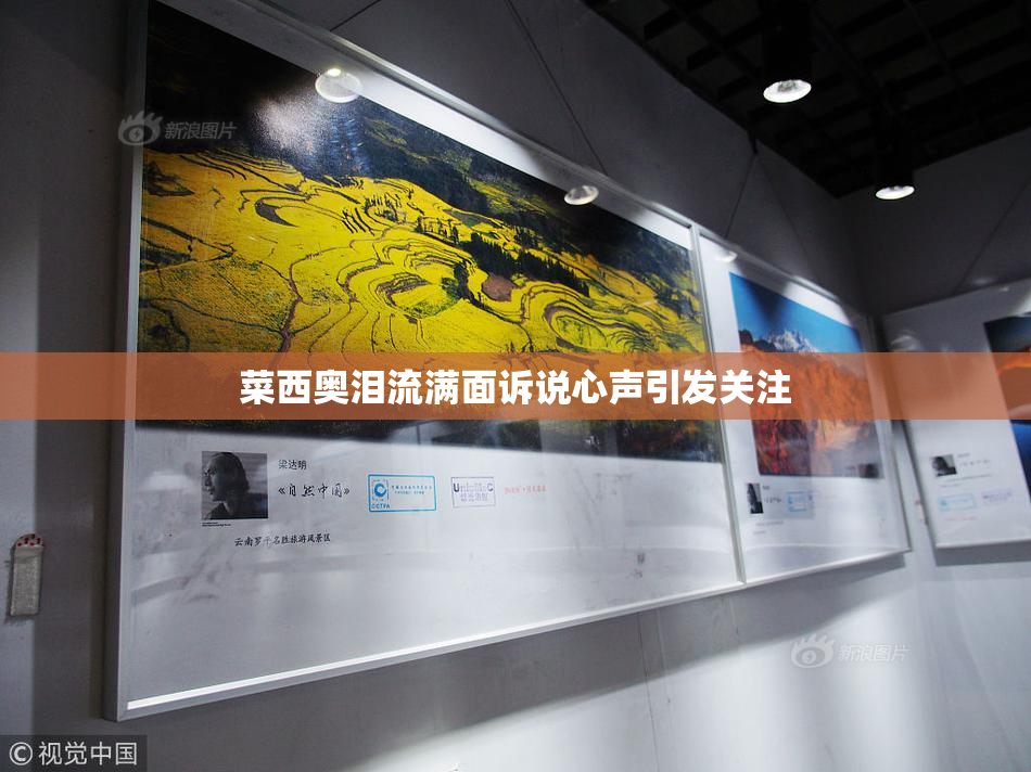 菜西奥泪流满面诉说心声引发关注