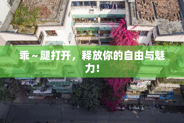 乖～腿打开，释放你的自由与魅力！