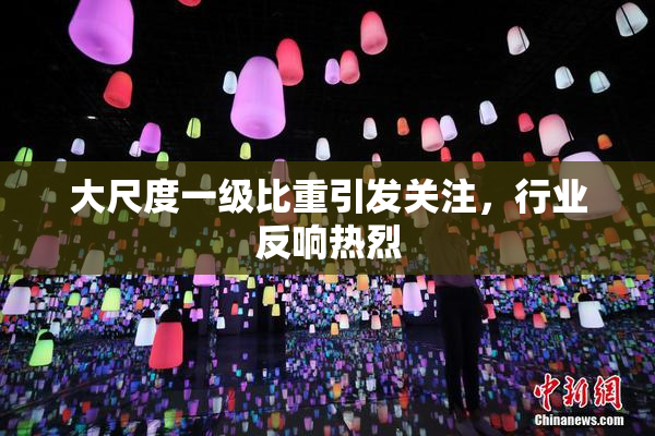 大尺度一级比重引发关注，行业反响热烈