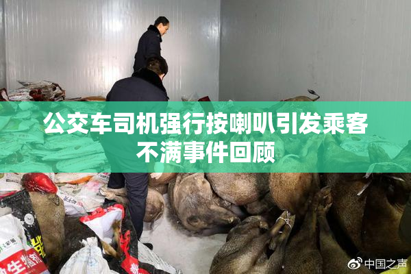 公交车司机强行按喇叭引发乘客不满事件回顾