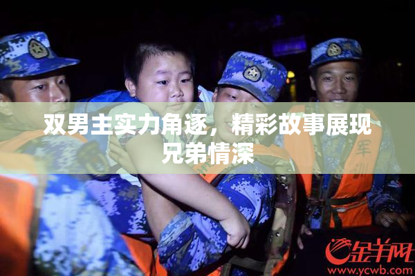 双男主实力角逐，精彩故事展现兄弟情深