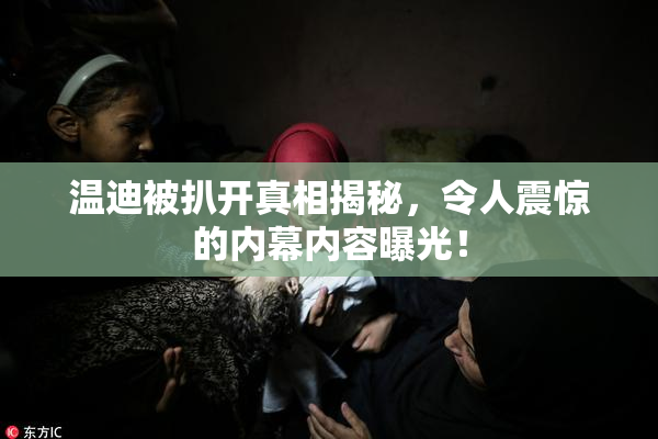 温迪被扒开真相揭秘，令人震惊的内幕内容曝光！