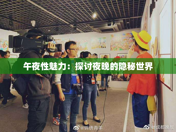 午夜性魅力：探讨夜晚的隐秘世界