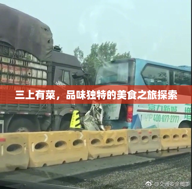 三上有菜，品味独特的美食之旅探索