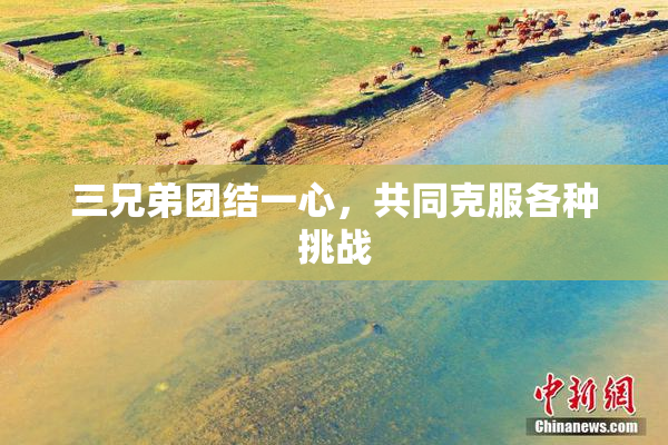 三兄弟团结一心，共同克服各种挑战