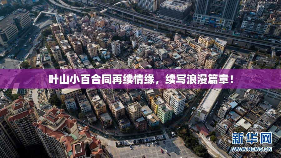 叶山小百合同再续情缘，续写浪漫篇章！