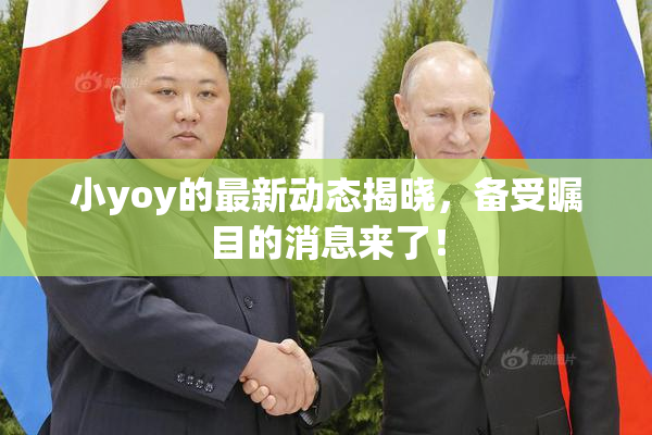 小yoy的最新动态揭晓，备受瞩目的消息来了！