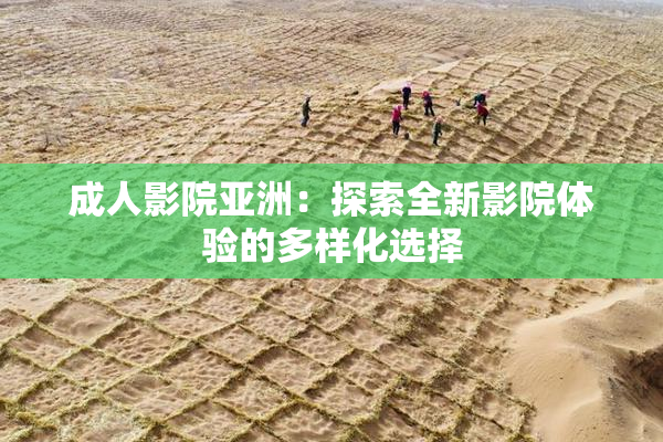 成人影院亚洲：探索全新影院体验的多样化选择
