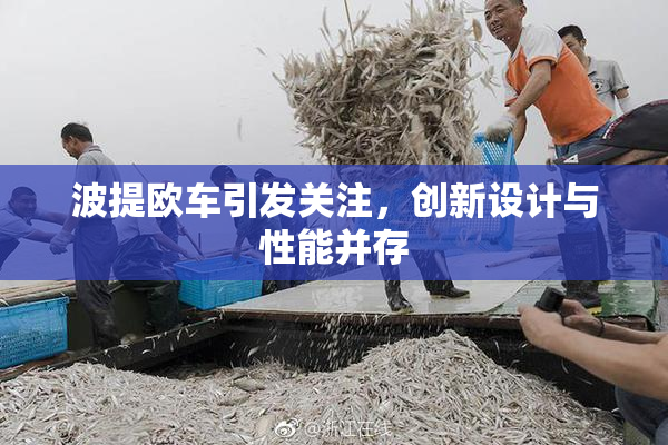 波提欧车引发关注，创新设计与性能并存