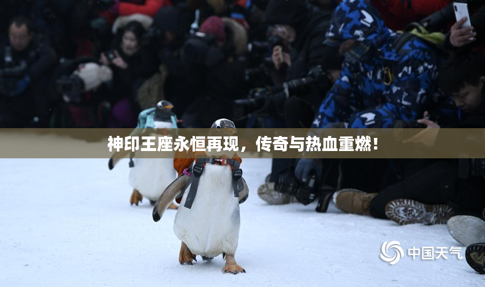 神印王座永恒再现，传奇与热血重燃！