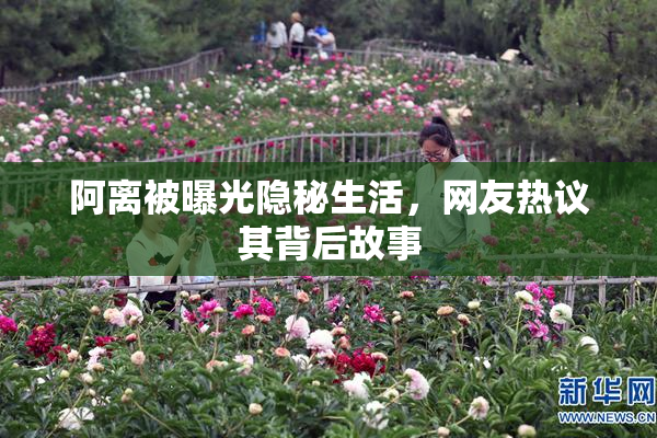 阿离被曝光隐秘生活，网友热议其背后故事