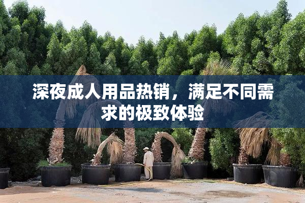 深夜成人用品热销，满足不同需求的极致体验