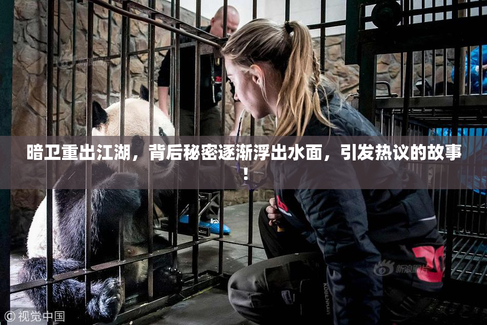 暗卫重出江湖，背后秘密逐渐浮出水面，引发热议的故事！