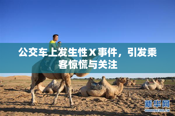 公交车上发生性Ⅹ事件，引发乘客惊慌与关注