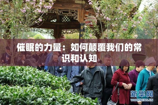 催眠的力量：如何颠覆我们的常识和认知