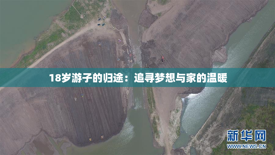 18岁游子的归途：追寻梦想与家的温暖
