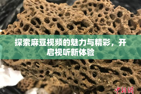 探索麻豆视频的魅力与精彩，开启视听新体验