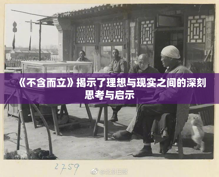 《不含而立》揭示了理想与现实之间的深刻思考与启示