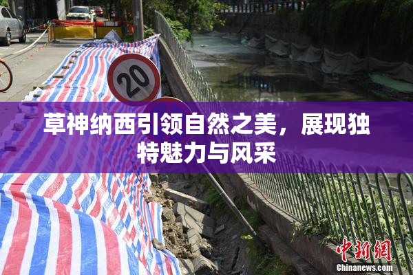草神纳西引领自然之美，展现独特魅力与风采