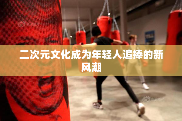 二次元文化成为年轻人追捧的新风潮