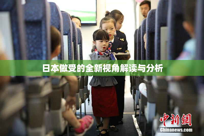 日本做受的全新视角解读与分析