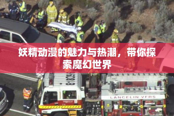 妖精动漫的魅力与热潮，带你探索魔幻世界
