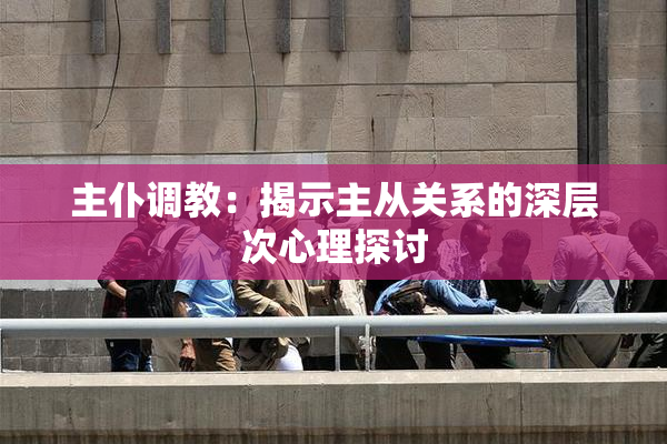 主仆调教：揭示主从关系的深层次心理探讨