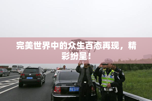 完美世界中的众生百态再现，精彩纷呈！