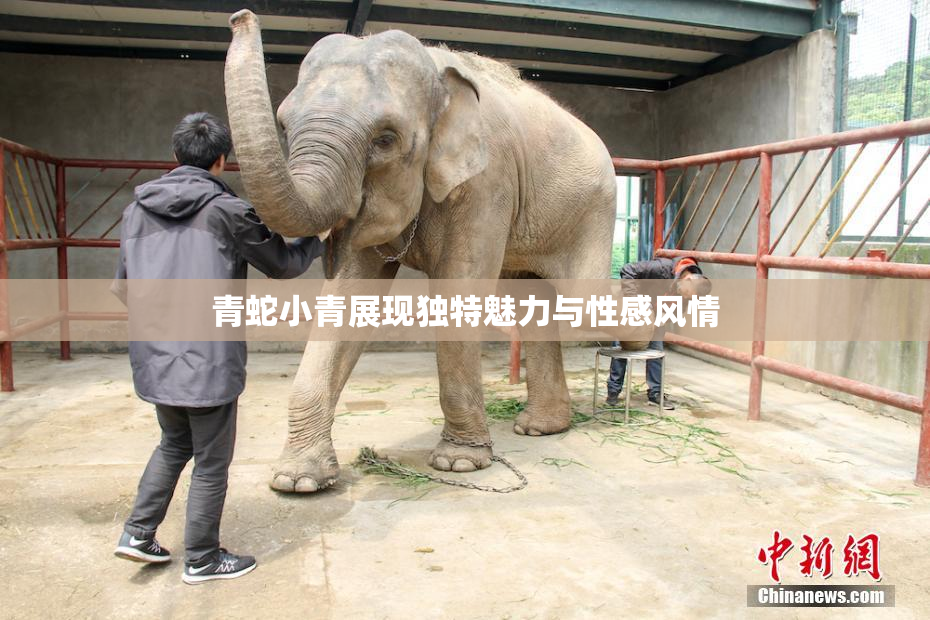 青蛇小青展现独特魅力与性感风情