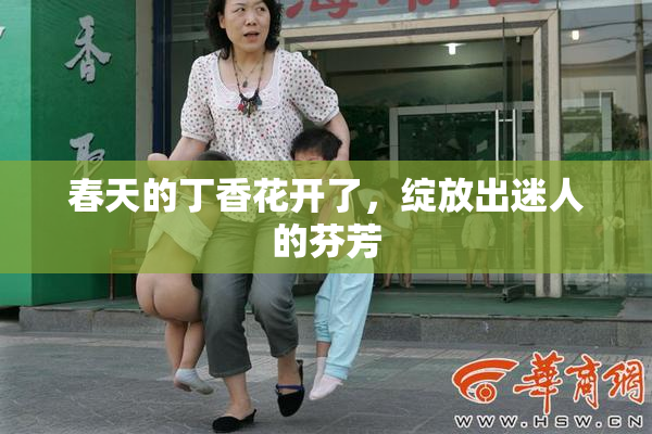 春天的丁香花开了，绽放出迷人的芬芳