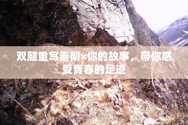 双腿重写秦彻×你的故事，带你感受青春的足迹