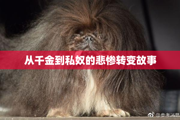 从千金到私奴的悲惨转变故事