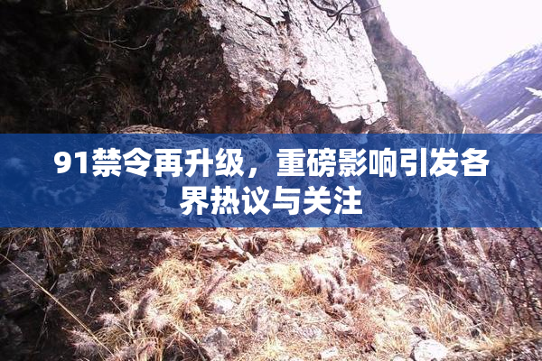 91禁令再升级，重磅影响引发各界热议与关注