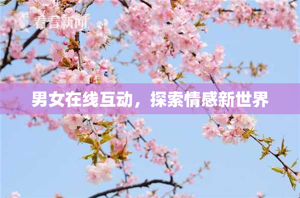 男女在线互动，探索情感新世界