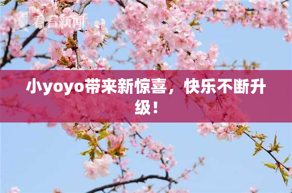小yoyo带来新惊喜，快乐不断升级！