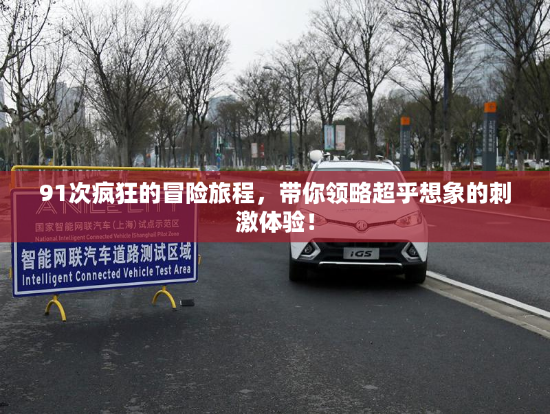 91次疯狂的冒险旅程，带你领略超乎想象的刺激体验！