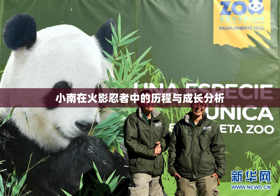 小南在火影忍者中的历程与成长分析