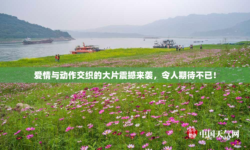 爱情与动作交织的大片震撼来袭，令人期待不已！
