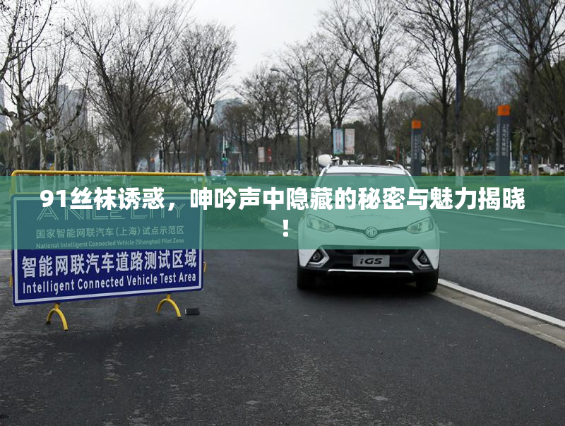91丝袜诱惑，呻吟声中隐藏的秘密与魅力揭晓！