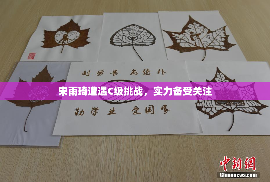 宋雨琦遭遇C级挑战，实力备受关注