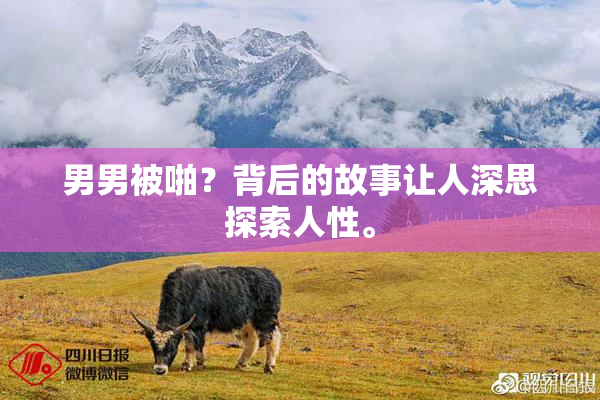 男男被啪？背后的故事让人深思探索人性。